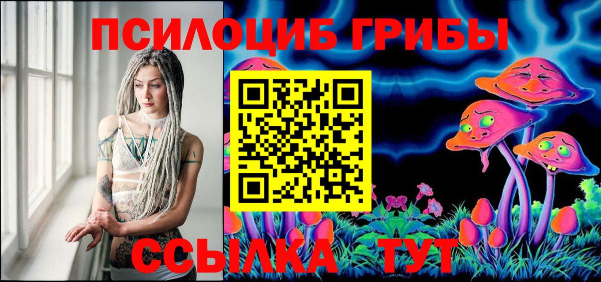 Псилоцибиновые грибы GOLDEN TEACHER  Вход с VPN  наркота  Чита 
